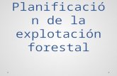 Planificacion de La Explotacion Forestal