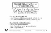 FH45 CM12 CardioVascular 1ª Parte