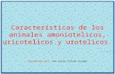 Caracteristicas de Los Animales Amoniotelicos, Uricotelicos y Urotelicos.