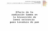 radiacion gamma.ppt