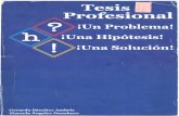 Tesis Profesional (Libro).pdf