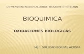 OXIDACIONES BIOLOGICAS.pptx