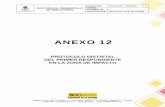 Anexo Protocolo Primer Respondiente