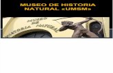 Museo de Historia Natural Umsm