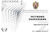 Catedra Metodos Numericos 2013 Unsch 08