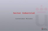 Sector Industrial Contenidos Mnimos