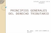 PRINCIPIOS GENERALES DEL DERECHO TRIBUTARIO.WVCPONENCIA2013 (1).pptx