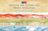 Informe Medio Ambiente Chile 2011