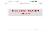 Boletín SINDI Enero-Febrero 2015