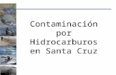 Contaminación Por Hidrocarburos en Santa Cruz