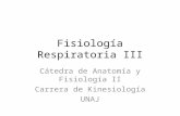 Fisiología Respiratoria III