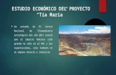 Estudio Económico Del Proyecto Tia Maria