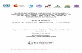 INCORPORACIÓN DE MEDIDAS DE ADAPTACIÓN Y MITIGACIÓN DEL CAMBIO CLIMÁTICO