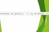 Problemas de Genética - 2ª Ley de Mendel (II)