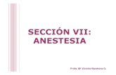 Tema 19 Anestesicos Generales