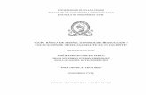 Guía Básica de Diseño, Control de Producción y Colocación de Mezclas Asfálticas en Caliente