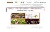 Plan de Innovacion Puebla