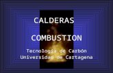 Calderas Combustion