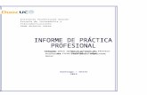 Informe de Practica Tecnico en Redes