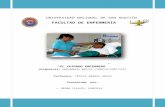 El Cuidado Enfermero - Monografia