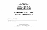 Cuaderno Actividades Parvulo - Chile Crece Contigo