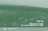 Guia de Flora Lomas de Lima -2015