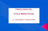 Presentaciónwqr Ciclo Menstrual