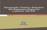Desarrollo Teorico Practico Laboal MYPE