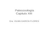 Capitulo 13  Paleotologia animal Invertebrados artropodos.ppt