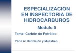Especialización Inspectoría Carbon