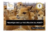 Manejo de La Vicuna en El Peru