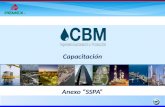 Capacitacion Anexo SSPA-cbm