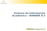Sistemadeinformacionacademico Banner8 5 BANNER