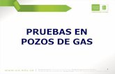 Presentación Pruebas en Pozos de Gas
