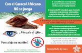 CAMPAÑA DE PREVENCIÓN CONTRA EL CARACOL AFRICANO- 13-4-15