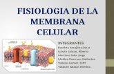 Fisiologia de La Membrana Celular.pptx 17.03.2014