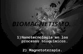 Bio Magnetismo
