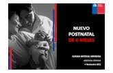 Presentación Postnatal (Sernam s.o.h.) [Modo de Compatibilidad] (1)