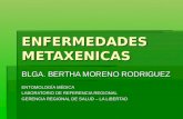 Expo. Enfermedades Metaxénicas - Py. Piloto Dengue y Tics.