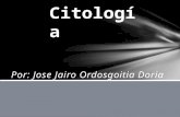 Citología JOSE JAIRO Terminadas