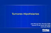 Tumores de Hipofisis.100200338