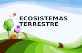 Ecosistemas Terrestres Felipe Lema Expo 2