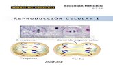 Reproduccion Celular 1
