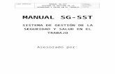 Manual Sg Sst
