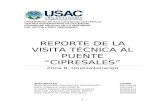 Informe Puente Cipresales