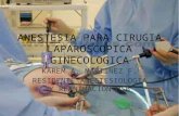 Anestesia Cirugia Laparosc