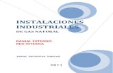 Instalaciones Industriales Gas Natural
