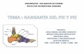 CLASE GARGANTA DEL PIE Y PIE . JAAC.pdf