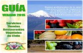 Servicios, Tiendas y Restaurantes Vegetales de Chile