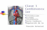 Introduccion Gasto y Ciclo Cardiaco y Presion Arterial